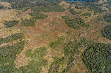 Belmira, Antioquia 'nın Korunan Doğal Alanı' nda Paramo Yürüyüşü