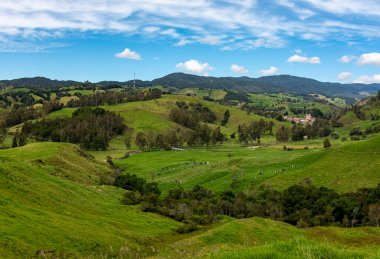 Etrafı bitki ve ağaçlarla dolu bir dağ.