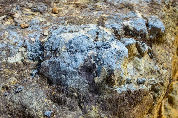 Lichen Stone Paramo Protected Natural Area Belmira Antioquia — Stock Photo, Image