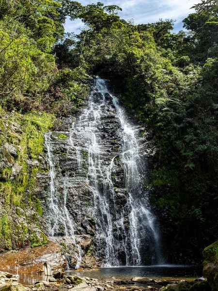 哥伦比亚安蒂奥基亚Las Golondrinas瀑布岩石上的大量植被 — 图库照片