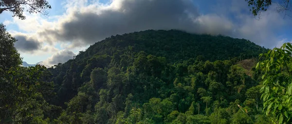 Montanhas Repletas Vegetação Árvores Natureza Vida Cidade Perdida Tayrona Park — Fotografia de Stock