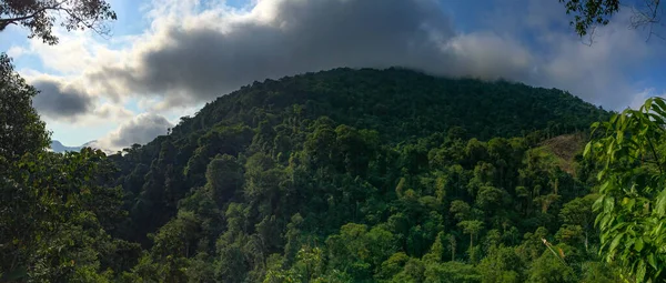 Mountains Full Vegetation Trees Nature Life Ciudad Perdida Lost City — Stock Photo, Image