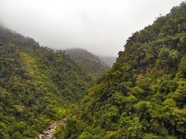 Ciudad Perdida (Kayıp Şehir) Tayrona Parkı, Magdalena / Kolombiya 'daki Ağaçlarla dolu Vegetation' ın ortasından geçen nehirdeki taşlar