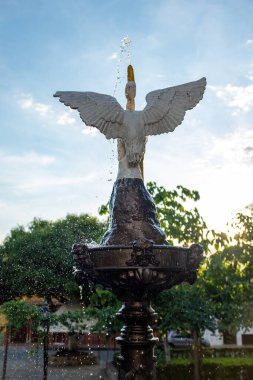 Swan-Shaped Fountain Sucre, Antioquia / Kolombiya 'daki Dusk' taki Central Plaza 'daki Zirveden Suyu Atıyor