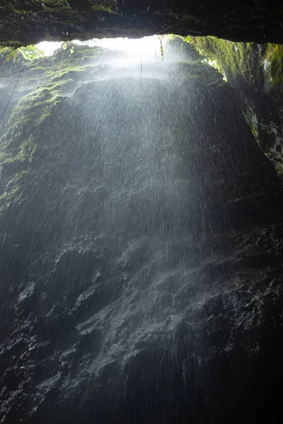 コロンビアのアンティオキアのスプレンダー洞窟近くの滝の岩の上の植生 苔の多く — ストック写真
