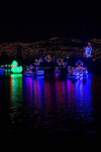 Medellin Nehri, Park Norte 'deki Medellin Tatil Işığı Fuarı' nda (Kuzey Park) kayık, ördek, deniz dalgaları ve balık figürleriyle aydınlandı.)