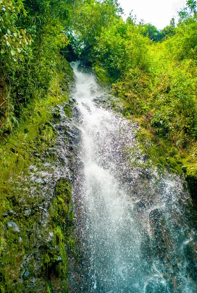 安提奥基亚安第斯山脉亚热带丛林的淡水瀑布 哥伦比亚 — 图库照片