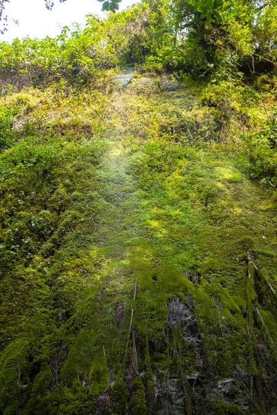 Mucha Vegetación Plantas Musgo Las Rocas Cascadas Cerca Cueva Los —  Fotos de Stock