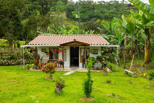 Petite Maison Pittoresque Avec Beaucoup Fleurs Arbres Autour Près Coffee — Photo