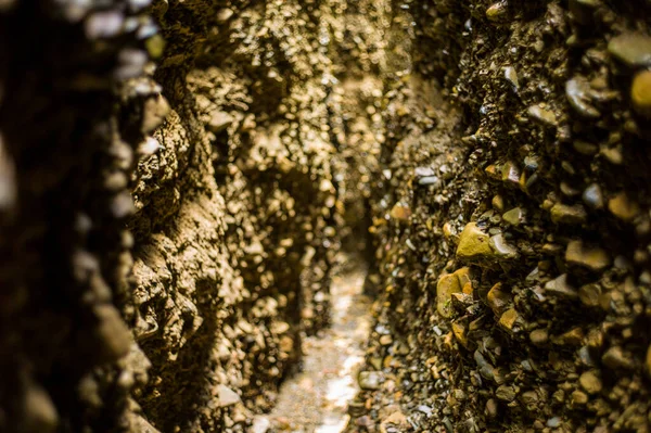 アニマスの谷の岩の壁のパス — ストック写真
