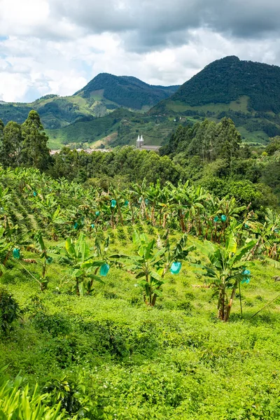 Jardin Deki Kahve Fabrikaları Antioquia Kolombiya — Stok fotoğraf