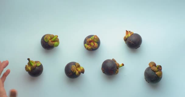 Siete Mangostán Garcinia Mangostana Frutas Las Manos Dos Hombres Blancos — Vídeo de stock