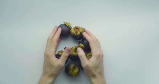 Siedem Mangosteen Garcinia Mangostana Owoce Dwie Ręce Białego Człowieka Próbuje — Wideo stockowe