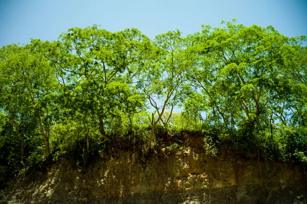 Green Trees Cliff Clear Day Samaipata Santa Cruz Βολιβία — Φωτογραφία Αρχείου