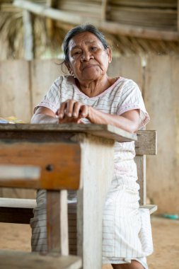 Rurrenabaque, Beni / Bolivya - 13 Mayıs 2016: Beyaz Elbiseli Yaşlı Bilge Görünümlü Yerli Kadın Kameraya Gülümsüyor