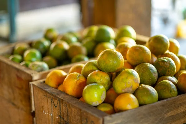 Beaucoup Tangerines Empilées Dans Une Boîte Bois Yapacani Santa Cruz — Photo