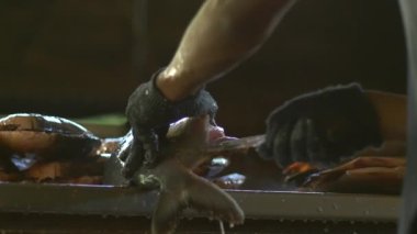 Hazırlayıp pişirmeden önce Demir Masa 'da Pacu Balığını Kesen Adam.