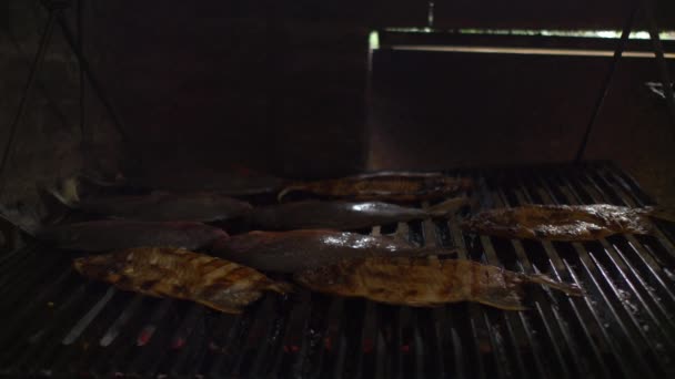 Izgarada Birkaç Pacu Balığı Pişiyor Bir Sürü Kömür Külleri Var — Stok video