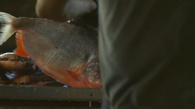 Hazırlayıp pişirmeden önce Demir Masa 'da Pacu Balığını Kesen Adam.