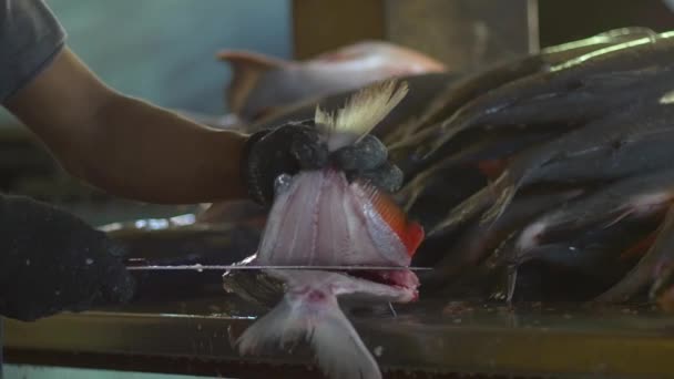 Man Slicing Pacu Fish Iron Table Preparing Cooking — Stock Video