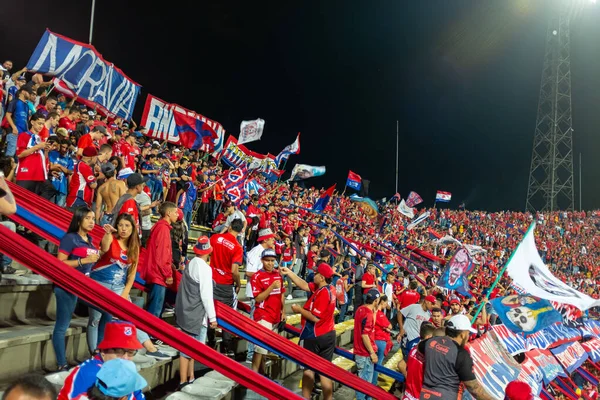 Medellín Antioquia Colombia Noviembre 2019 Gente Aplaude Partido Final Copa — Foto de Stock