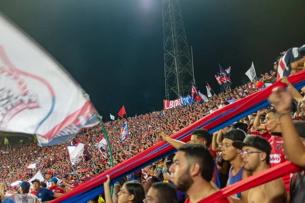 Medellín Antioquia Colombia Noviembre 2019 Gente Aplaude Partido Final Copa — Foto de Stock