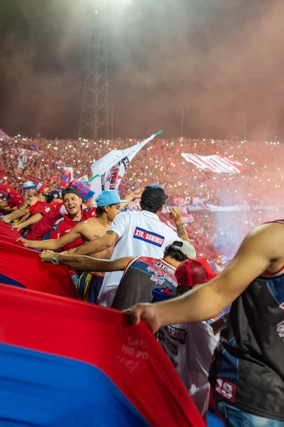 Medellín Antioquia Colombia Noviembre 2019 Gente Aplaude Partido Final Copa — Foto de Stock