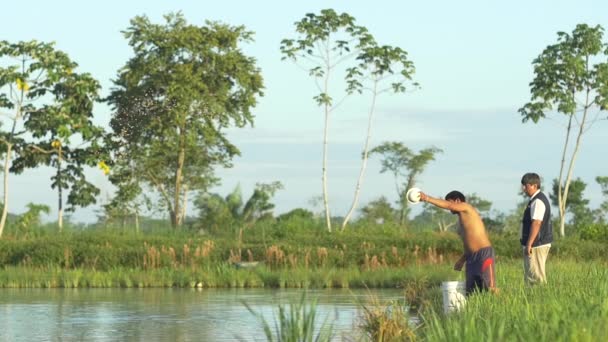 Yapacani Santa Cruz Bolivie 1Er Avril 2016 Pêcheur Jette Nourriture — Video