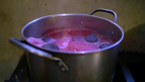 煮込み鍋で調理するビート 水は野菜のためのバイオレットです — ストック動画