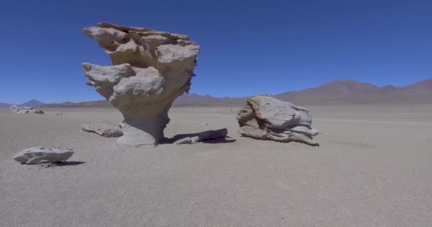 Arbol Piedra Кам Яне Дерево Ізольована Скельна Формація Національному Заповіднику — стокове відео