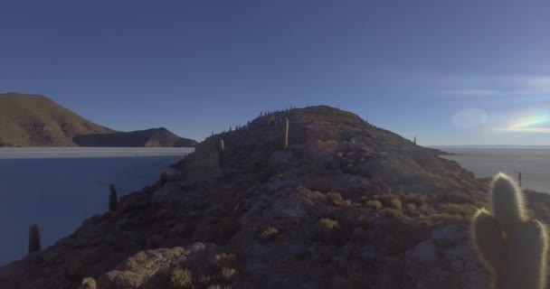 Cactus Una Montaña Rocosa Suelo Seco Árido Desierto Sal Más — Vídeo de stock