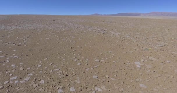 Άριστη Ξηρή Και Απομονωμένη Έρημος Στο Salar Chalviri Επίσης Γνωστή — Αρχείο Βίντεο