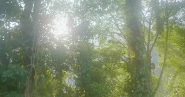 Ünlü ve Turist Tayrona Parkı, Magdalena / Kolombiya 'daki Ciudad Perdida (Kayıp Şehir), Doğa, Bitki ve Kültür ile dolu