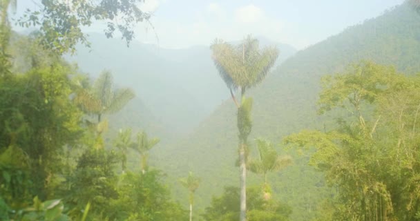 Den Berömda Och Turist Tayrona Park Ciudad Perdida Förlorade Staden — Stockvideo