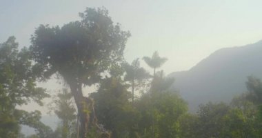 Ünlü ve Turist Tayrona Parkı, Magdalena / Kolombiya 'daki Ciudad Perdida (Kayıp Şehir), Doğa, Bitki ve Kültür ile dolu