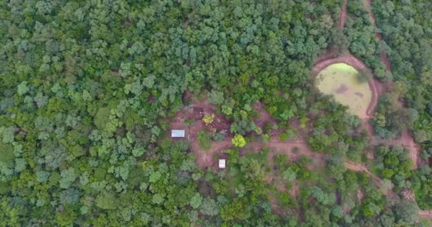 Charagua Bolivia Mars 2017 Utsikt Ovanifrån Med Drönare Nötkreatur Barn — Stockvideo