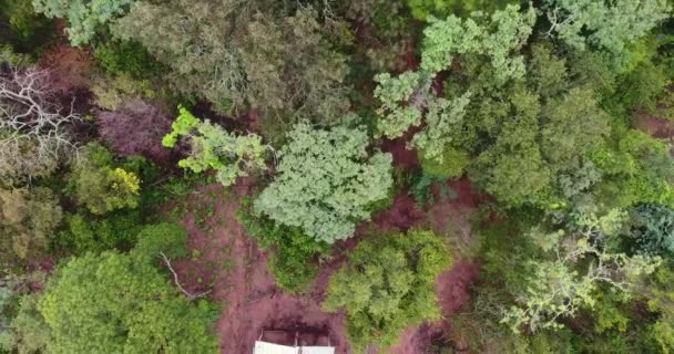 Charagua Bolivia March 2017 View Landscape Trees Much Vegetation Ending — Stock Video