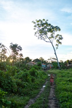Rurrenabaque, Beni / Bolivya - 11 Mayıs 2016: Genç ve Küçük Yerli Amazon Kızı Kirli Bir Yolda Tek Başına Evine Gidiyor