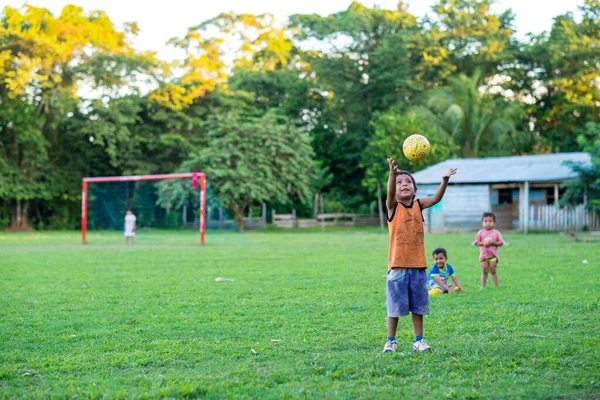 Rurrenabaque, Beni / Bolivya - 11 Mayıs 2016: Yeşil Çimen Tarlasında Sarı Topla Oynayan Küçük Yerli Amazon Çocukları