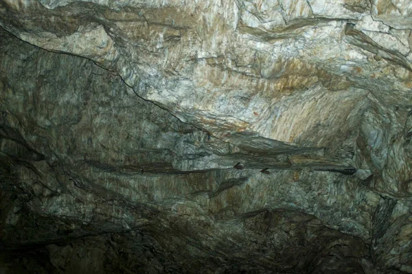 Vast San Pedro Cave Roof Bats Sorata Paz Bolivia — Stock Photo, Image