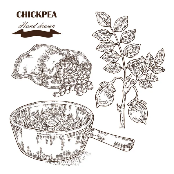 Handgezeichnete Kichererbsenpflanze. Samen, Kichererbsensuppe und Sack mit Ei — Stockvektor