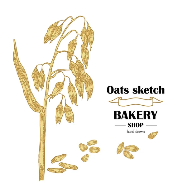 Tangan digambar oat. Ilustrasi vektor bakery - Stok Vektor