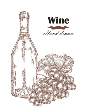 El üzüm vintage ile çizilmiş şarap şişesi. Vektör çizimi
