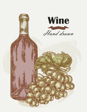 El üzüm vintage ile çizilmiş şarap şişesi. Vektör çizimi
