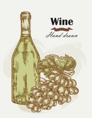 El üzüm vintage ile çizilmiş şarap şişesi. Vektör çizimi