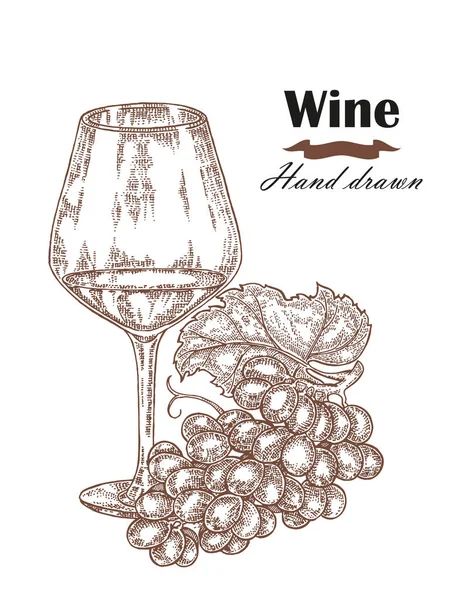 Copo de vinho desenhado à mão com uva vintage. Esboço vetorial — Vetor de Stock