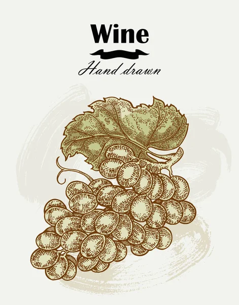 Uvas de vino elaboradas a mano vintage. Boceto vectorial — Archivo Imágenes Vectoriales