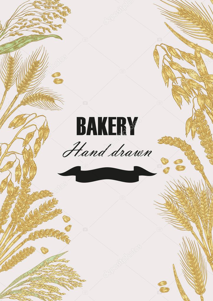 Bread design template. Vector banner with cereals. Hand drawn 