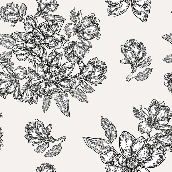 Vintage magnolia bloemen, knoppen en bladeren. Vector naadloze patte — Stockvector