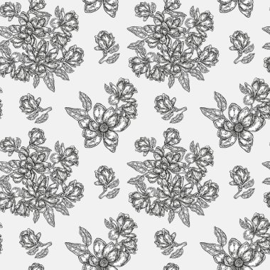 Vintage Manolya çiçek, tomurcukları ve yaprakları. Vektör seamless modeli. Gösterim amacıyla kumaşlar, hediye paketleme, Tekstil ve kart tasarımı